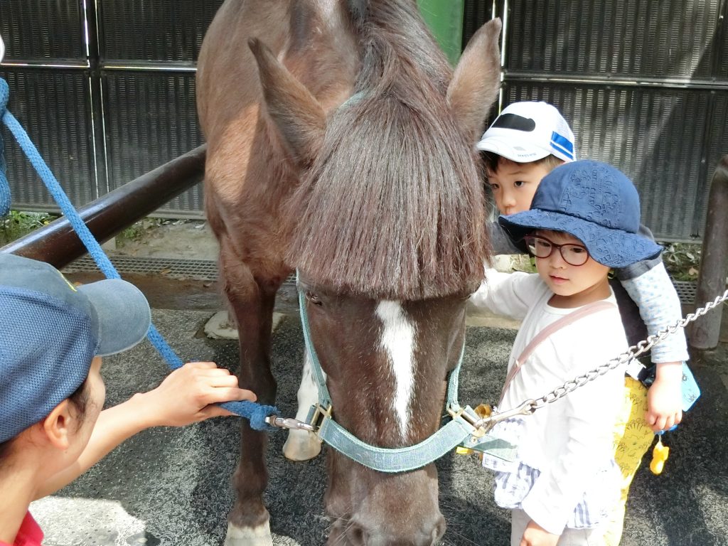ポニー公園と明治神宮へ行きました 日本基督教団城西教会付属 城西幼稚園 ポニー公園と明治神宮へ行きました 日本基督教団城西教会付属 城西幼稚園